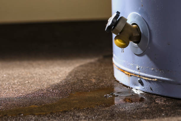 Best Basement water damage restoration  in Mathews, VA