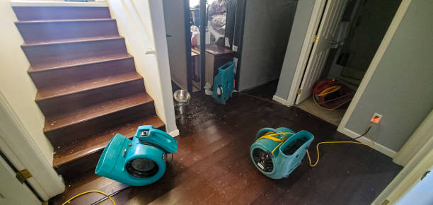 Reliable Mathews, VA Water damage restoration Solutions