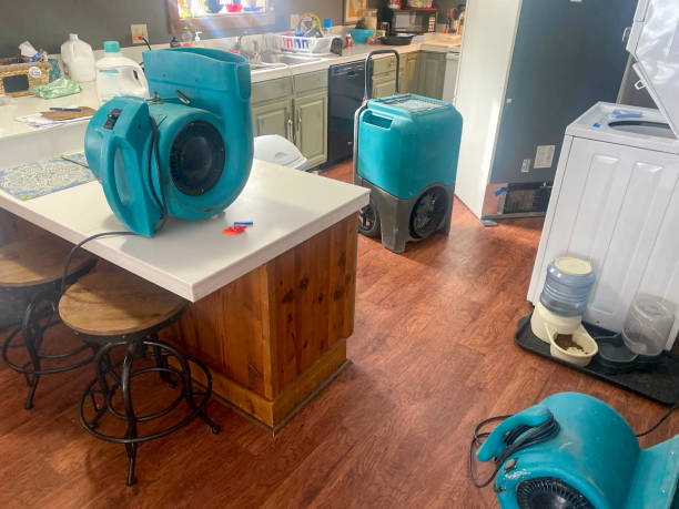 Professional Water damage restoration in Mathews, VA