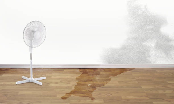 Best 24/7 water damage repair  in Mathews, VA