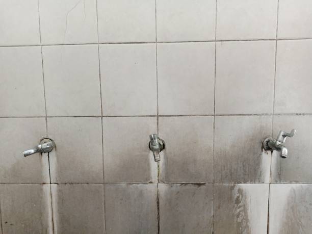 Best Residential water damage restoration  in Mathews, VA